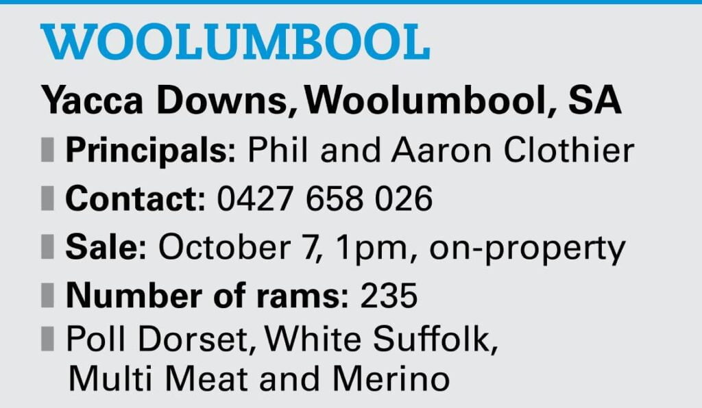 2019 Woolumbool Ram Sale