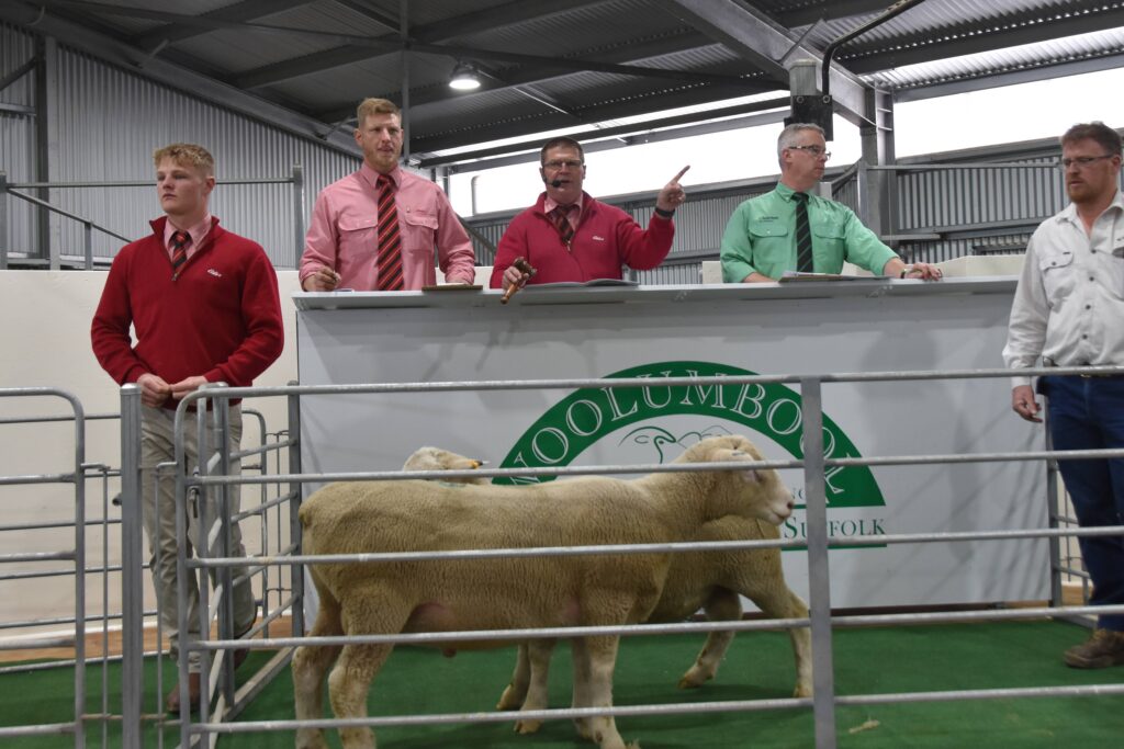 2021 Woolumbool Ram Sale