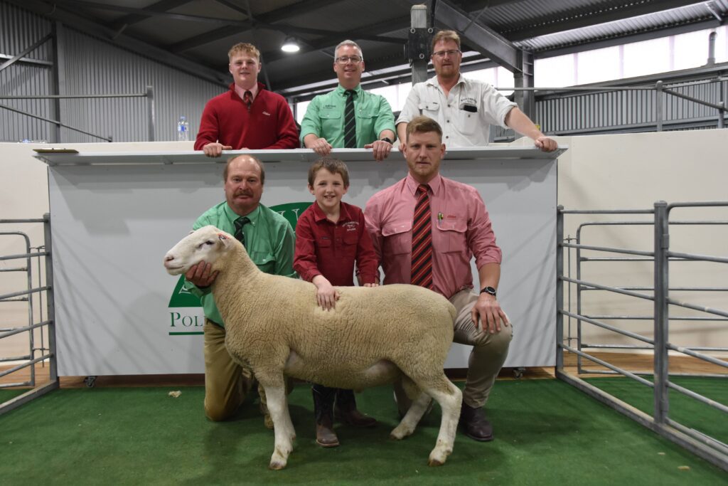 2021 Woolumbool Ram Sale