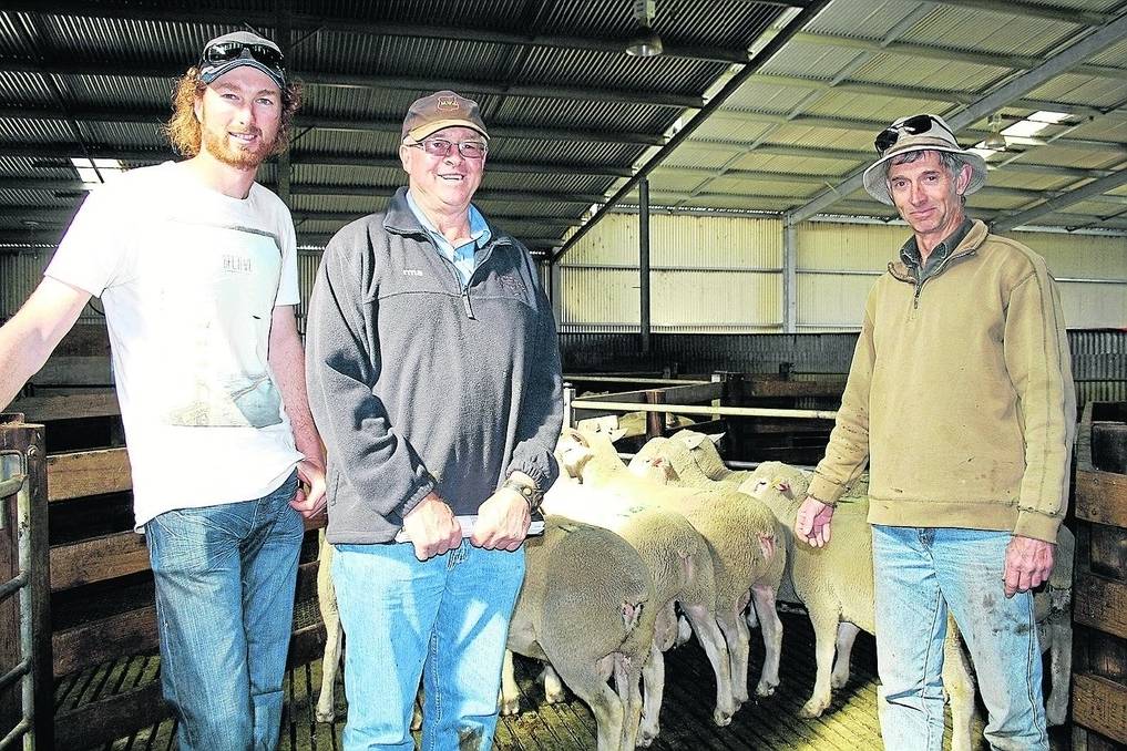 2015 Woolumbool Ram Sale