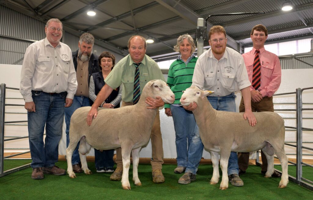 2018 Woolumbool Ram Sale