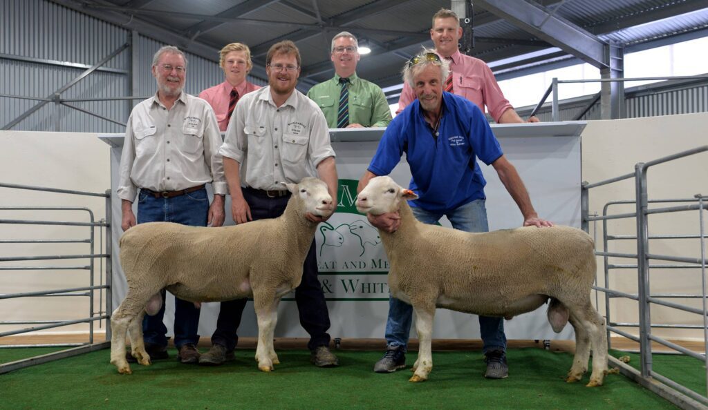 2019 Woolumbool Ram Sale