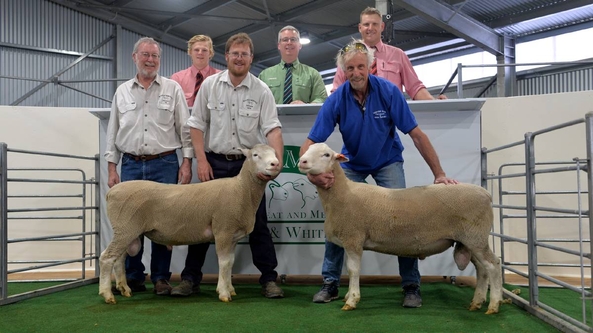 2019 Woolumbool Ram Sale